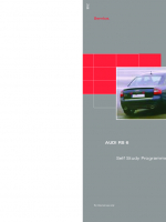 SSP 244 Audi RS6