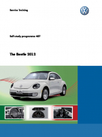 SSP 487 The Beetle 2012
