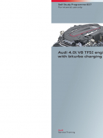 SSP 607 Audi 4,0l V8 TFSI engine