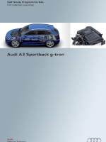 SSP 621 Audi A3 Sportback g-tron