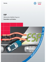 SSP 204 ESP Elektronisches Stabilitts-Programm