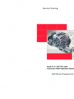 SSP 365 Audi 4,2 l V8 TDI with Common Rail Injection System