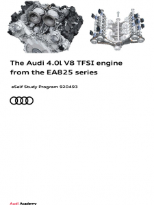 SSP 920493 - The Audi 4,0l V8 TFSI engine from the EA825 series