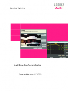 SSP 971603 Audi Data Bus Technologies