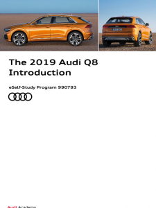 SSP 990793 - The 2019 Audi Q8 Introduction